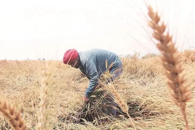 private mandi, farmers, MP CM,