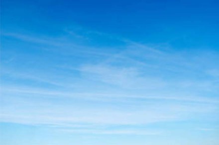 CPCB found that the reduction in number of on-road vehicles, resulted in up to 51 per cent reduction in nitrogen oxide (NOx). CPCB found that the reduction in number of on-road vehicles, resulted in up to 51 per cent reduction in nitrogen oxide (NOx).