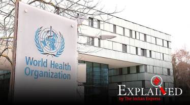 WHO insists it hid nothing, sounded virus alarm from start