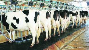 Refrigeration is critical in tropical countries when it comes to growth of normal dairy products as opposed to ultra-high temperature products.