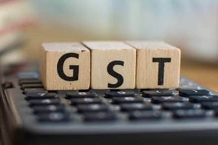 The 'major' heads are Central GST, State or Union Territory GST, Integrated GST and cess, whereas the 'minor' heads defined in the law are tax, interest, late fee, penalty and others.