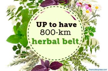 herbal roads in UP, UP herbal roads, alternative medicine, Keshav Prasad Maurya, traditional medicine, medicinal plants, medicinal trees, coronavirus pandemic, coronavirus in India, coronavirus prevention, precaution against diseases, how to build immunity, COVID-19, UP government initiatives