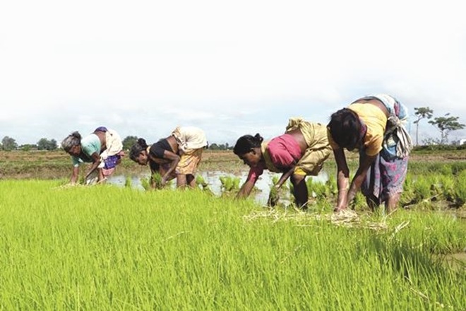 The removal of restrictions under the Essential Commodities Act (ECA) is, by far, the most important measure. The removal of restrictions under the Essential Commodities Act (ECA) is, by far, the most important measure.