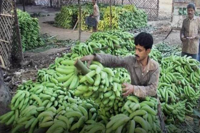 ICAR scientists, COVID-19 risks, Uttar Pradesh, CSSRI, COVID-19 crisis, Sitamarhi district, ICAR-FUSICONT, latest news on coronavirus outbreak