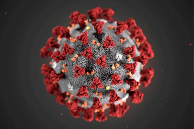 COVID-19 patients, coronavirus outbreak, coronavirus symptoms, loss of smeel, loss of taste, covid 19 infection,latest news on coronavirus outbreak