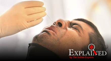 coronavirus, covid 19, coronavirus india news