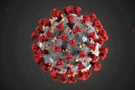 coronavirus, coronavirus pandemic, coronavirus outbreak, coronavirus in India, coronavirus lockdown, coronavirus lockdown lift, coronavirus study