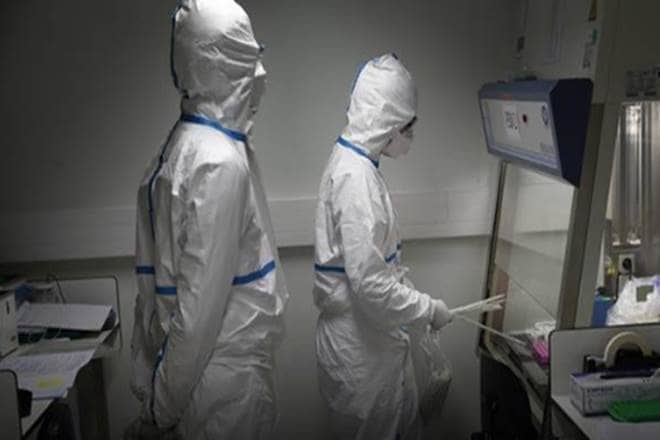 COVID-19, CSIR, genome sequences, coronavirusin indians, COVID-19 pandemic, GISAID database,global genome, latest news on covid 19