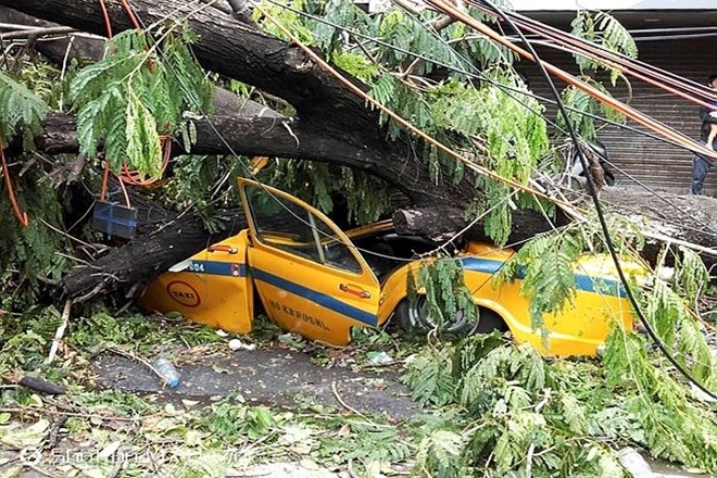 cyclone amphan, cyclone amphan impact kolkata, services restoration in kolkata, post cyclone situation in kolkata, cyclone amphan impact, essential services kolkata, west bengal, cyclone amphan impact west bengal, services restoration in west bengal, post cyclone situation in west bengal cyclone amphan, cyclone amphan impact kolkata, services restoration in kolkata, post cyclone situation in kolkata, cyclone amphan impact, essential services kolkata, west bengal, cyclone amphan impact west bengal, services restoration in west bengal, post cyclone situation in west bengal