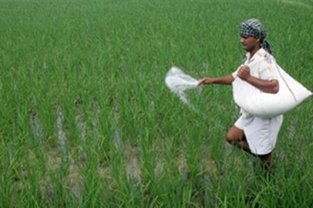 Kharif sowing up 13% y-o-y aided by steady monsoon progress