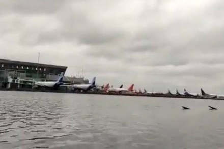 Watch: Devastating cyclone Amphan leaves a portion of Kolkata Airport terminal flooded