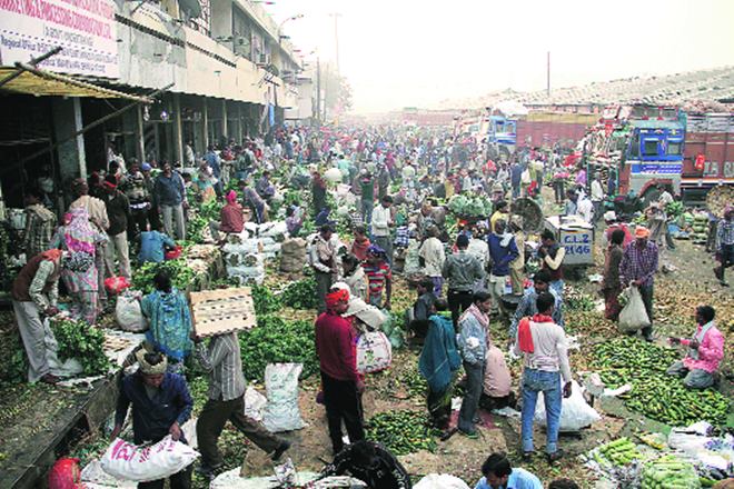 Supply crisis looms as arrival of vegetables, fruits down sharply at Delhi’s Azadpur mandi Supply crisis looms as arrival of vegetables, fruits down sharply at Delhi’s Azadpur mandi