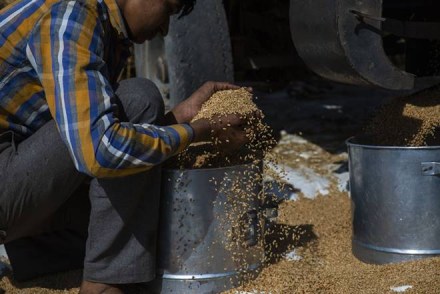 PM garib kalyan yojana, relief measure, fm sitharaman, lockdown, coronavirus PM garib kalyan yojana, relief measure, fm sitharaman, lockdown, coronavirus