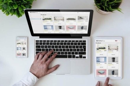  Even countries such as the US and the UK, which have conducted exercises in planning for an epidemic, either did not anticipate such devastation or did not learn lessons from those exercises.