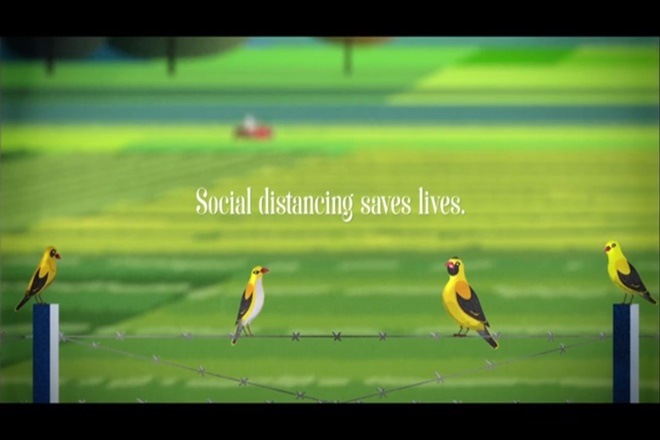 Wise Little Birds has been directed towards farmer community as they bounce back to work