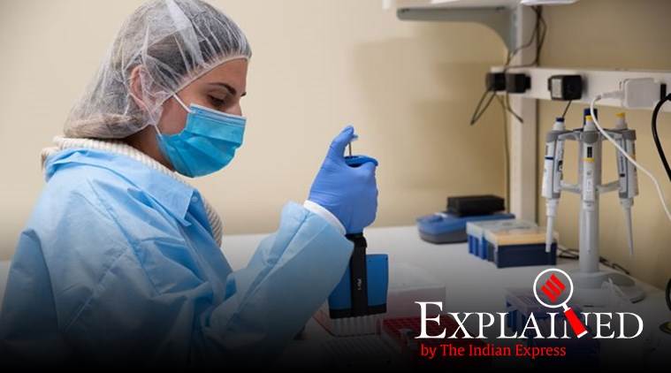 Human trials will be an important milestone in the progress of an mAb line of therapy. (Representative image) Human trials will be an important milestone in the progress of an mAb line of therapy. (Representative image)