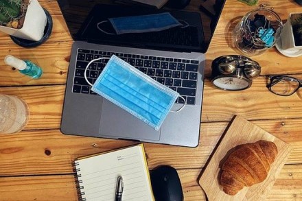 Central Government Employees work from home rules after lockdown: