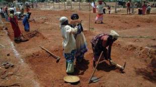 The average daily wage per person under the scheme in the current fiscal has been Rs 201.29, compared with Rs 182 in 2019-20, indicating that wages have indeed been increased.