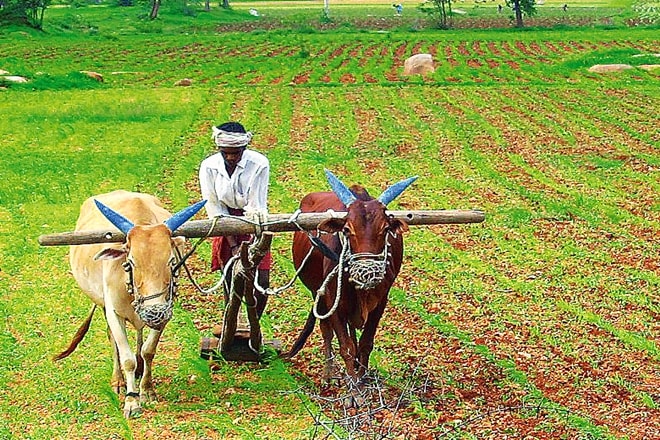 agriculture infra fund, financing facility, 1 lakh crore, narendra modi, pm modi