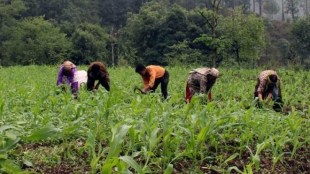 farm produce, agricutural produce, agri exports