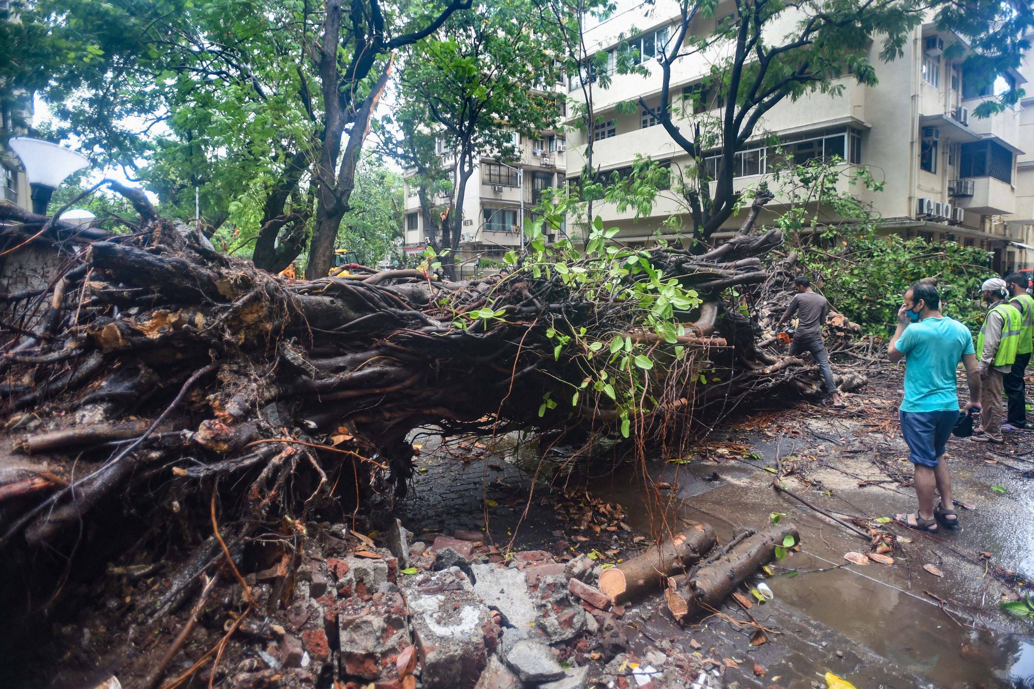 nisarga cyclone live, nisarga cyclone photos, cyclone live, cyclone nisarga mumbai, cyclone mumbai, mumbai cyclone nisarga, cyclone nisarga tracker, cyclone tracker, nisarga cyclone location, nisarga cyclone tracking, cyclone tracking, nisarga cyclone live tracking, live cyclone tracking, cyclone nisarga 2020, cyclone in mumbai, imd cyclone nisarga, rsmcnewdelhi.imd.gov.in, nisarga tracking, nisarga mumbai, nisarga maharashtra