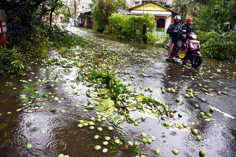 nisarga cyclone live, nisarga cyclone photos, cyclone live, cyclone nisarga mumbai, cyclone mumbai, mumbai cyclone nisarga, cyclone nisarga tracker, cyclone tracker, nisarga cyclone location, nisarga cyclone tracking, cyclone tracking, nisarga cyclone live tracking, live cyclone tracking, cyclone nisarga 2020, cyclone in mumbai, imd cyclone nisarga, rsmcnewdelhi.imd.gov.in, nisarga tracking, nisarga mumbai, nisarga maharashtra