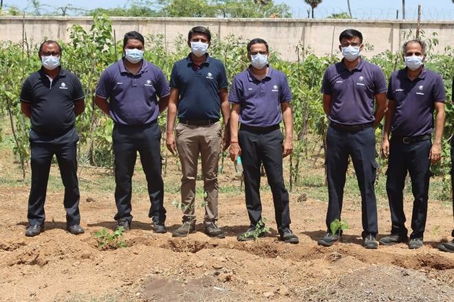 World Environment Day: Mahindra, BMW plant trees, curb air pollution with these measures