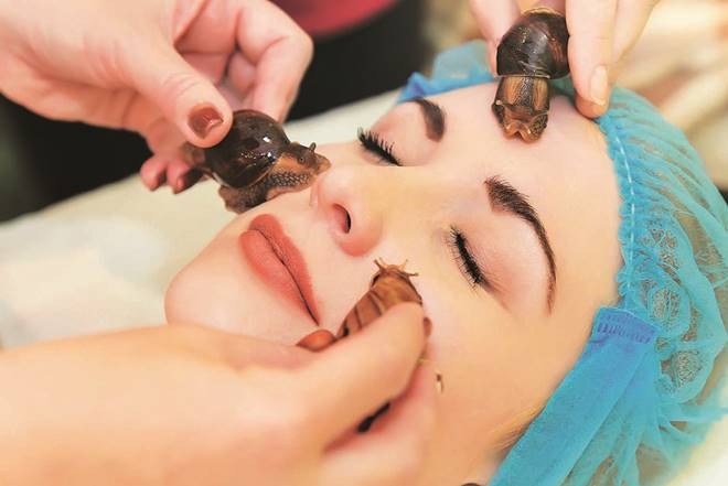 A young girl rejuvenate the skin with the help of big African snails Achatina. Unusual massage and facial cleansing.