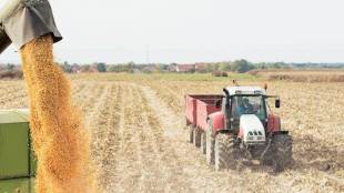 On their part, conventional agricultural traders don’t see the need to change their business model anytime soon.