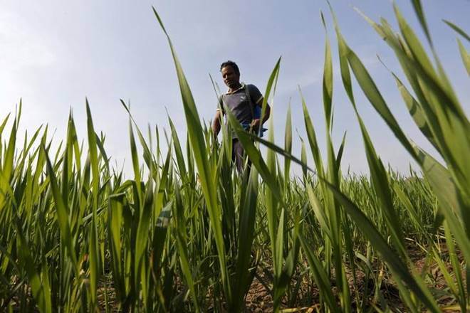Modi government, MNC, Covid-19 gloabl impact, agrochemical sector, data generation, us china trade tension, reloaction destination, Formulation Import