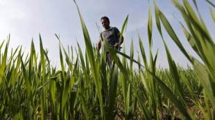 Modi government, MNC, Covid-19 gloabl impact, agrochemical sector, data generation, us china trade tension, reloaction destination, Formulation Import