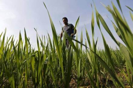 Modi government, MNC, Covid-19 gloabl impact, agrochemical sector, data generation, us china trade tension, reloaction destination, Formulation Import
