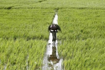ISRO technology to help West Bengal govt settle insurance claims of farmers!