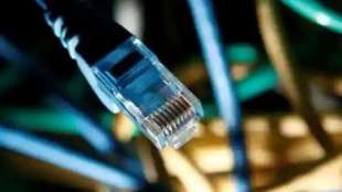 surviving digital disruption, technology, how to handle digital disruption, technological disruption