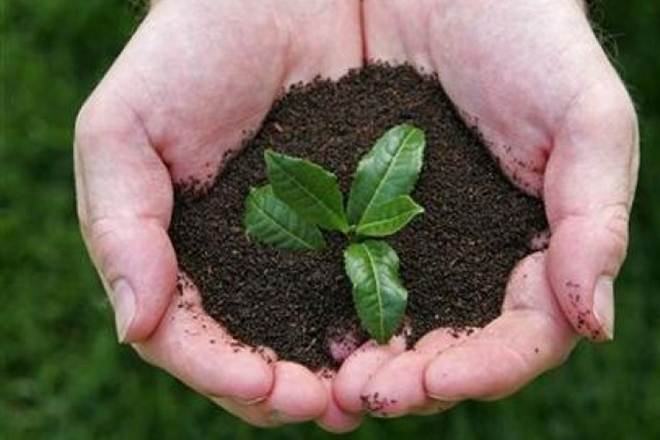 DATA DRIVE: Huge pendency in green cases DATA DRIVE: Huge pendency in green cases