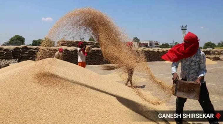 free foodgrains, National Food Security Act,, agri exports, agriculture