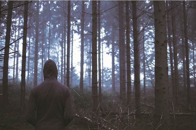 Imaginary Friend is an ambitious novel, and has every formulaic element that goes into creating an enjoyably scary book. 