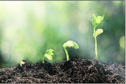 soil science, soil scientist, Rattan Lal, world food prize, agriculture Nobel prize, soil health, world food prize foundation