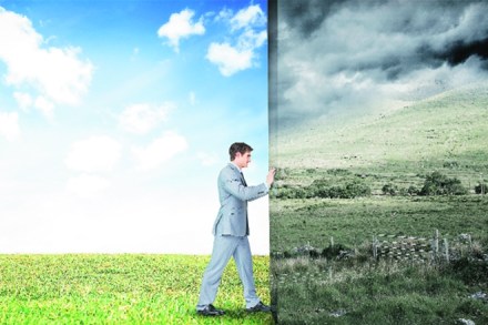 NGOs have to play a role in imparting skills for alternative occupations and linking local products to the national and global markets. NGOs have to play a role in imparting skills for alternative occupations and linking local products to the national and global markets.