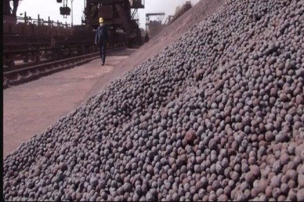 India exported 12.6 million tonne (MT) pellets in 2019-20, up from 9.3 MT a year ago.