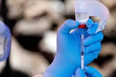 The clinical trial is randomised, double-blind and placebo-controlled.