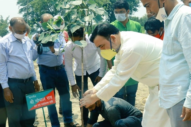 "Our target is to plant 31 lakh saplings till March 31... I am sure we will be able to achieve our target," he said.