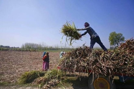 Some government incentives to farmers to keep their unsold inventory at warehouses will be a big boost for agriculture trading from these premises, experts said.