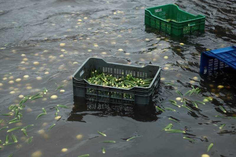 mumbai rains, mumbai rains today, mumbai rains now, mumbai rains latest news, mumbai rains 2020, mumbai rain today, mumbai rain news, mumbai rain forecast, mumbai rain alert, mumbai rain imd, mumbai rain images