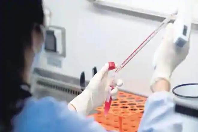 Caplin Point Labs, Xellia Pharma, injectable products, Caplin Point Laboratories, BSE, Shares of Caplin Point Laboratories