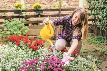 Watering dry flowers with a yellow watering can. woman taking care of her plants ( and watering them ) in her garden. Woman working in garden