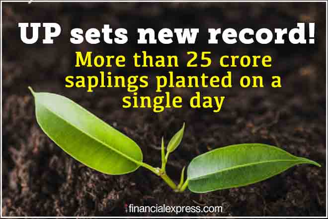 The state has been organising Van Mahotsava since 2017 The state has been organising Van Mahotsava since 2017