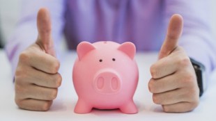 Ulip, endowment, Life insurance policies, plans, types, benefits, life insurance, term insurance plan, protection, savings