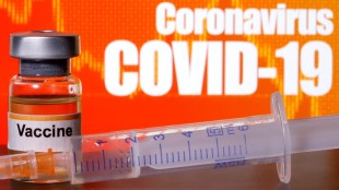 coronavirus vaccine update, coronavirus vaccine news, coronavirus vaccine India, coronavirus vaccine USA, coronavirus vaccine status, coronavirus vaccine progress, covid 19 vaccine update, covid 19 vaccine status, covid 19 vaccine update today, covid 19 vaccine human trials, covid 19 vaccine astrazeneca, covid 19 vaccine tracker, covid 19 vaccine oxford, vaccine for covid 19, vaccine coronavirus, vaccine update