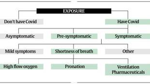 is coronavirus airborne in india,